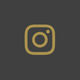 Icon instagram