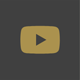 Icon youtube