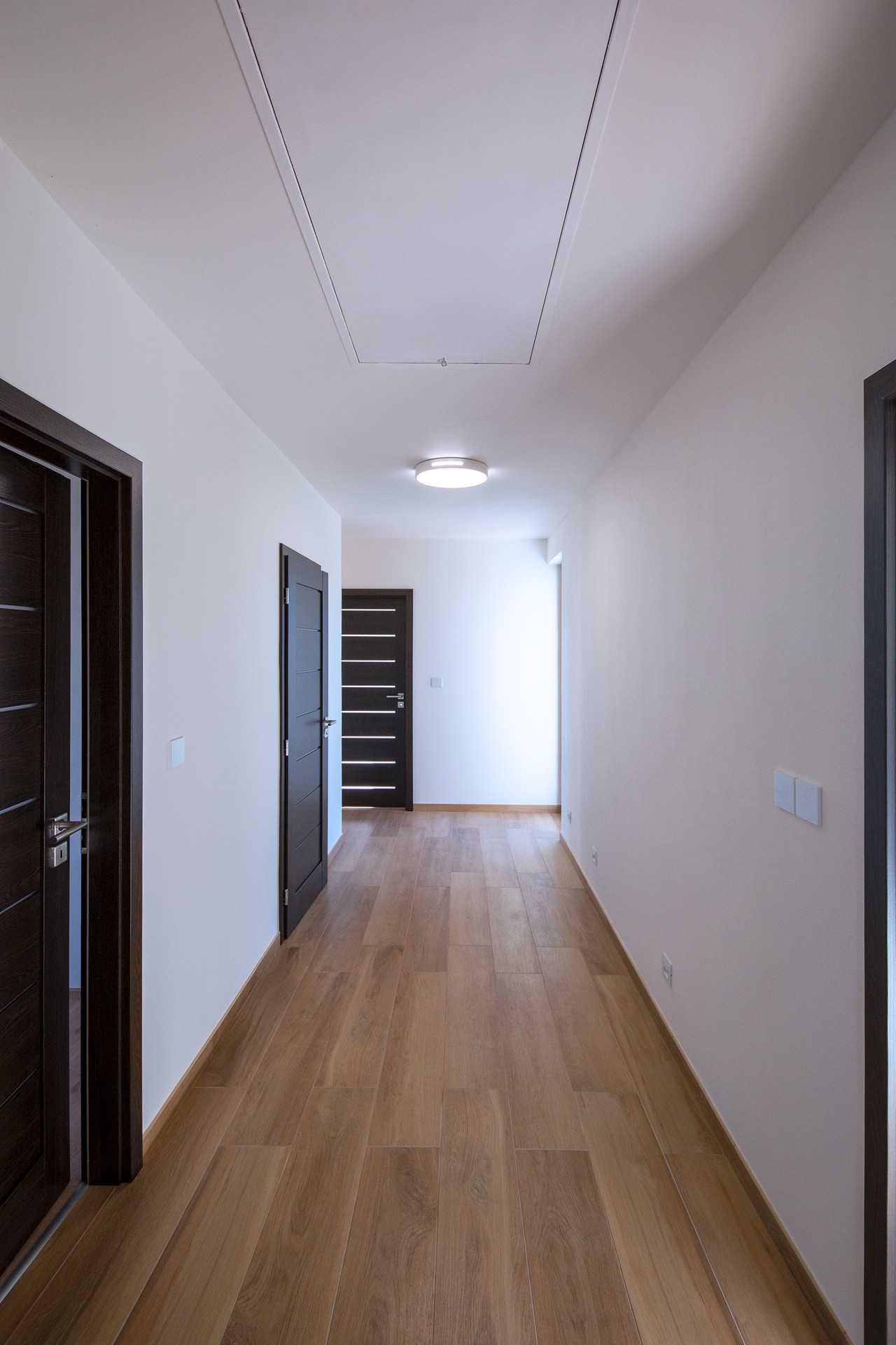 Hory u Jenišova (Karlovy Vary)